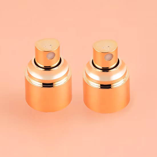 Frascos de bomba de spray cosméticos transparentes 25/40/60 ml de luxo PETG vazios para cosméticos