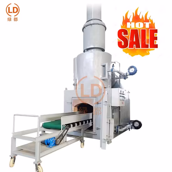 Forno de cremação Incinerador de animais Pet Crematório Preço de fábrica