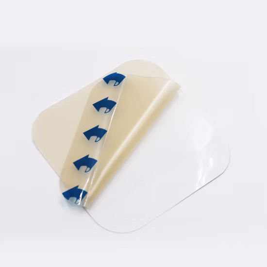 Curativo Cirúrgico Transparente para Feridas com Revestimento para Animais de Estimação Fabricante